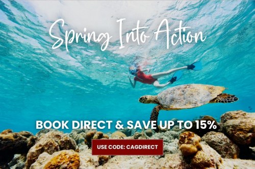 Spring Into Action