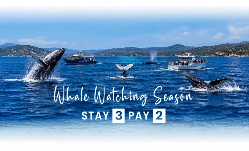 Whale Watching Season  - Stay 3 Pay 2